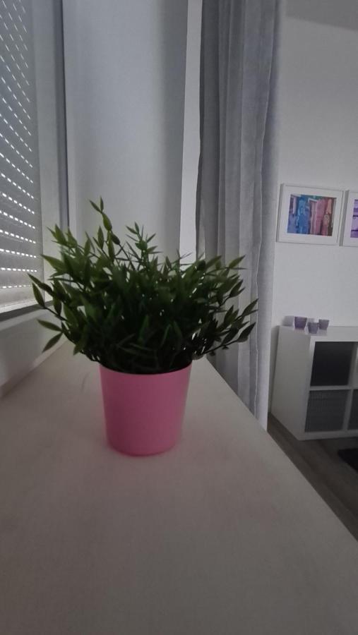 Appartement Lavendel, Ferienwohnung Mit Eigenem Eingang Wie Ein Kleines Haus Bad Salzuflen Esterno foto